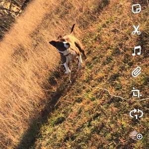 Meet your Posher, Denzel